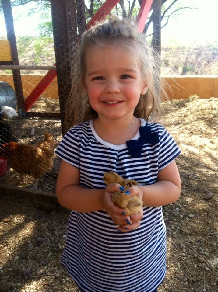 Readers show their chickens